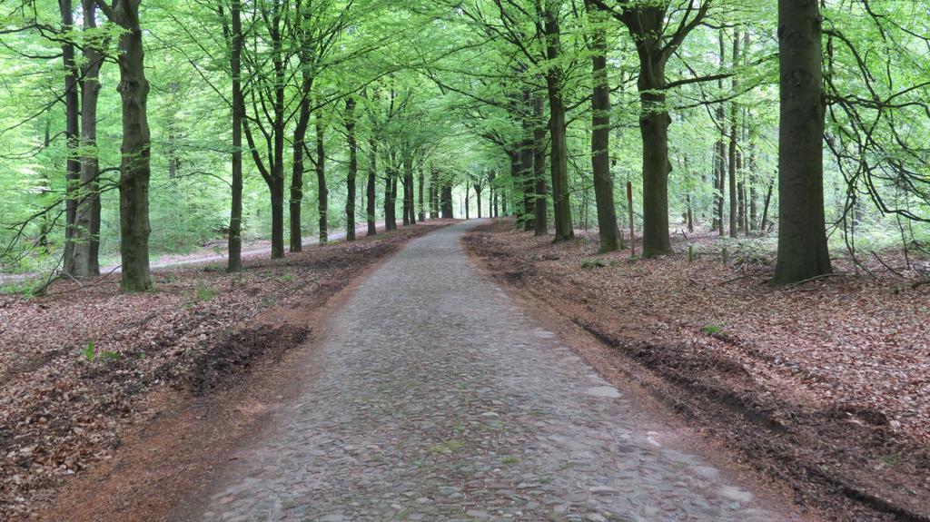 'T Zwanemeer Gieten Exterior foto